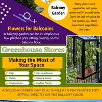 flowers for balconies's Portfolio
